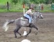 SPORT-Pole Bending